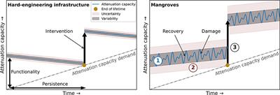 Nature-Based Engineering: A Review on Reducing Coastal Flood Risk With Mangroves